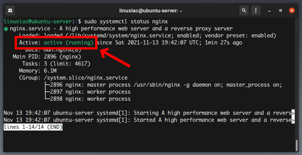 Nginx Service Status