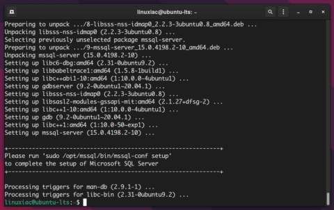 How to Install SQL Server and SQL Server CLI Tools on Ubuntu