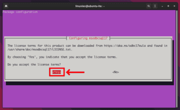 How to Install SQL Server and SQL Server CLI Tools on Ubuntu