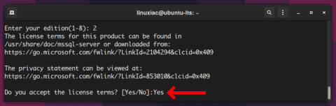 How to Install SQL Server and SQL Server CLI Tools on Ubuntu
