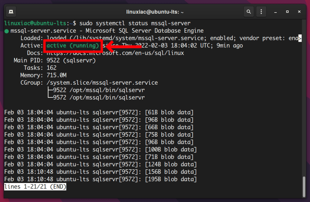 Verifiyng the SQL Server Status