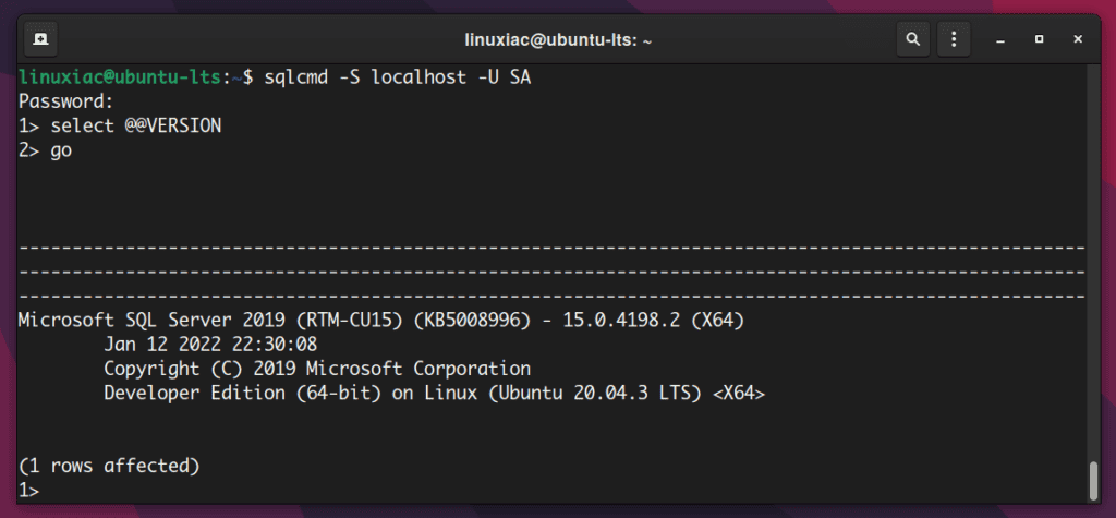 Running Query in SQL Server on Linux