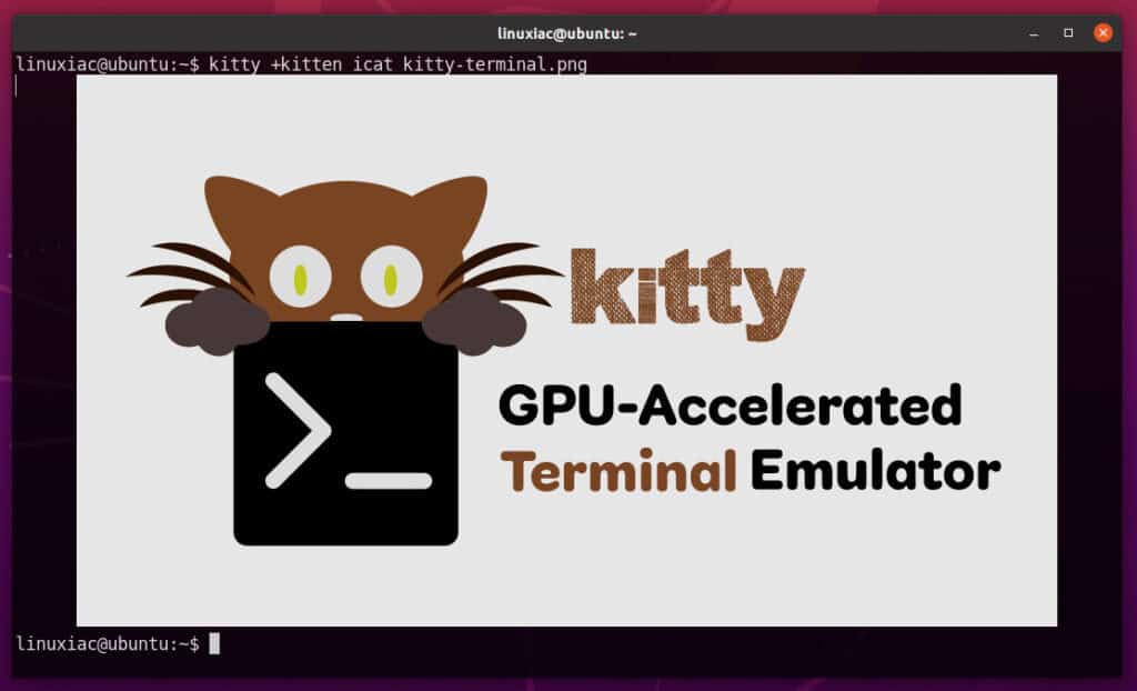 Ddisplay images in the Kitty terminal