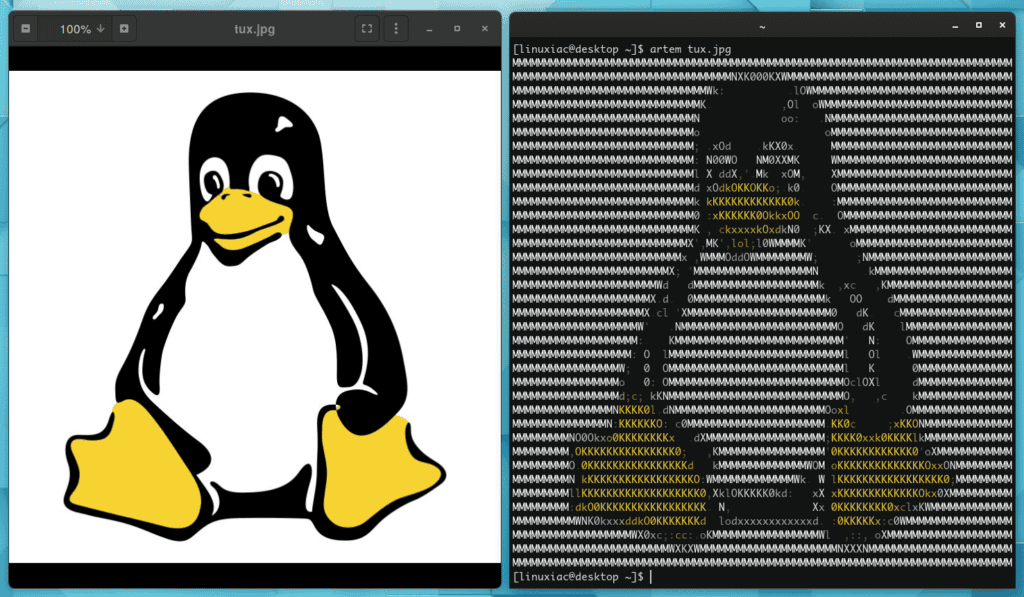 Convert Images to ASCII with Artem on Linux