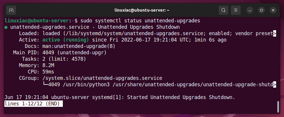 Check if unattended-upgrades service is up and running