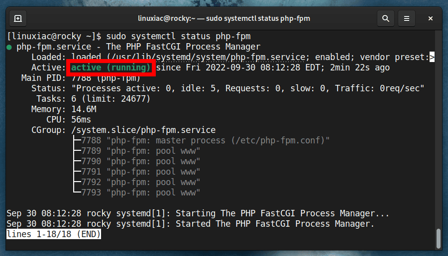 Check the status of the PHP-FPM service