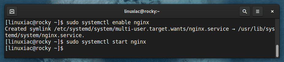 Enable and start the Nginx service on Rocky Linux 9