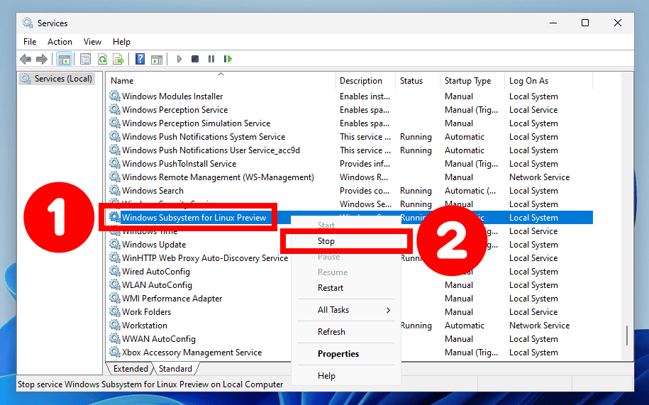 Stopping WSL Service