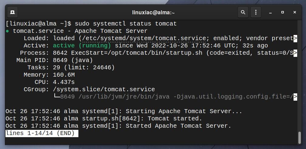 Check the Tomcat service status