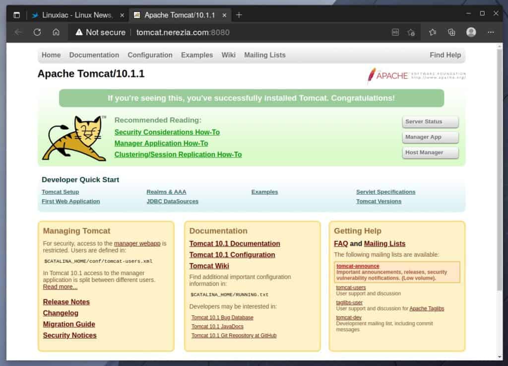 Tomcat 10.1 successfully installed on AlmaLinux/Rocky Linux 9