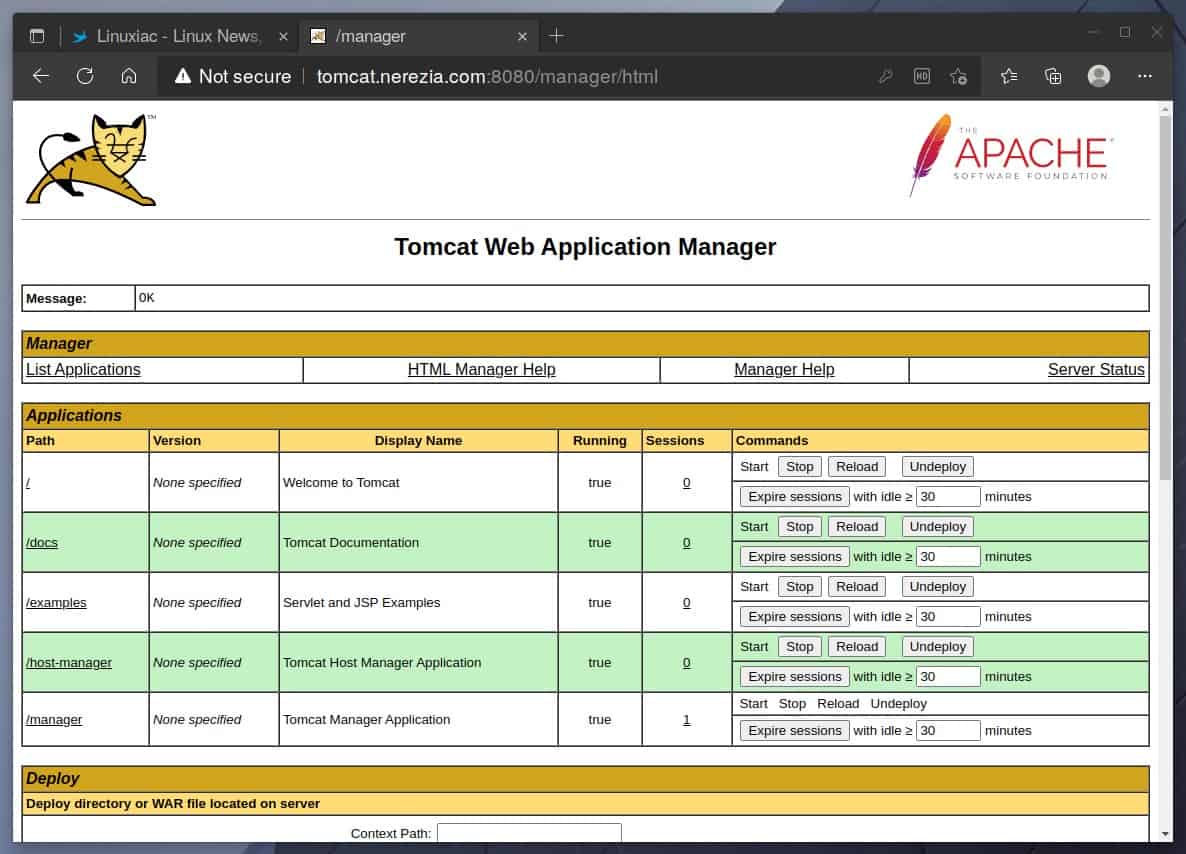 Tomcat Web Application Manager