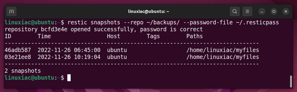 Using a password file with the restic command