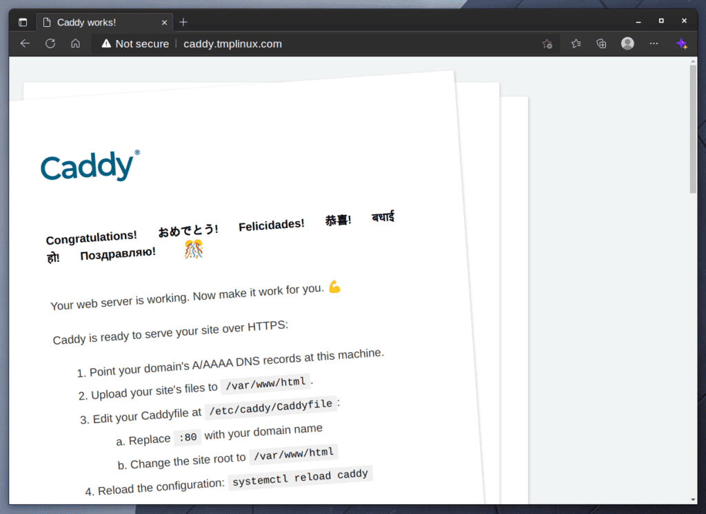 Caddy web server's default page.