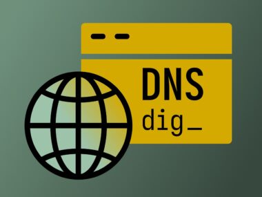 Dig Command: The Most Common Use Cases in Examples