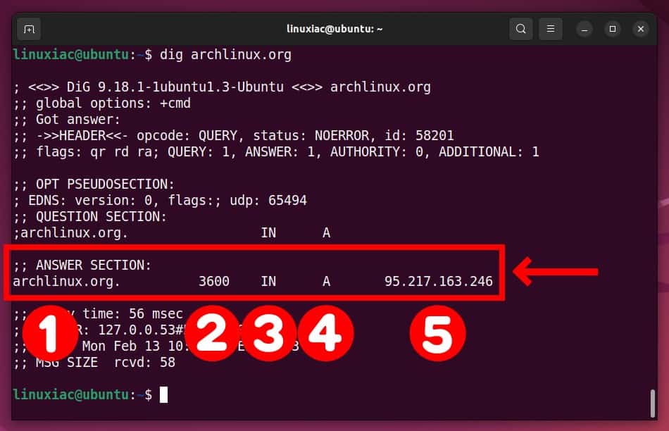 Basic DNS lookup with dig.