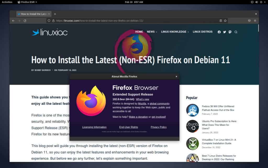 Firefox ESR web browser running on Debian 11.