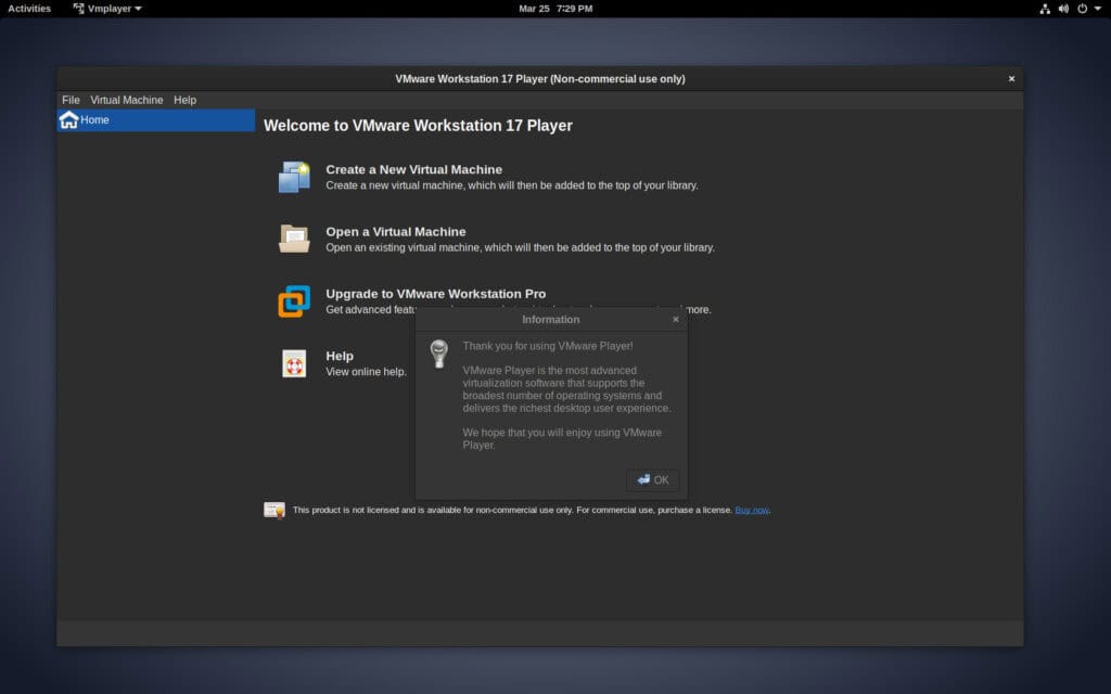 VMware Workstation Player is running on Debian 11 (Bullseye).