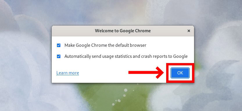 Google Chrome initial settings.