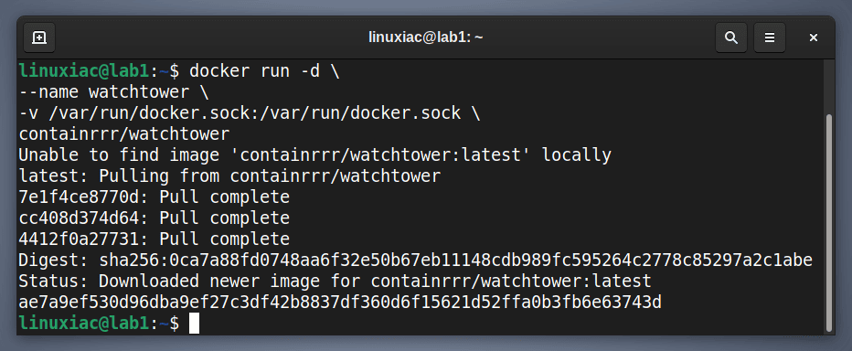 Run the watchtower container with Docker.