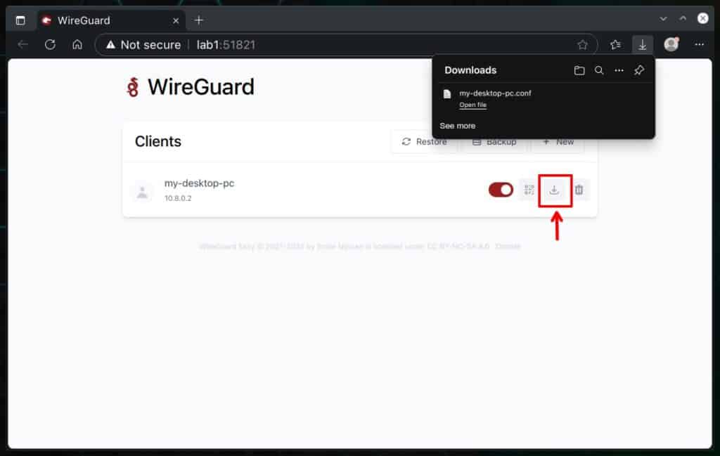 Download the client configuration for WireGuard.
