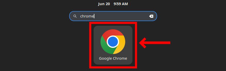 Launching Google Chrome.