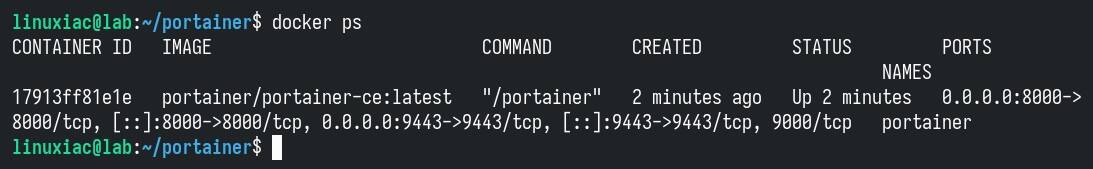 List the currently running Docker containers.