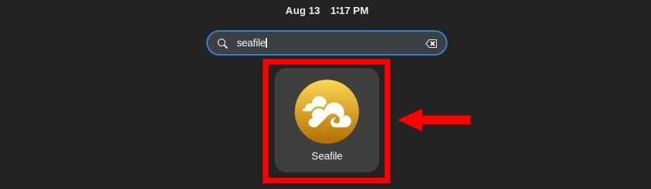 Run the Seafile client app.