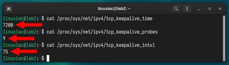 Checking keepalive values in Linux.