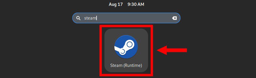 Run the Steam client app.