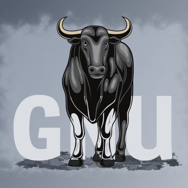 Understanding GNU: The Backbone of Free Software Philosophy