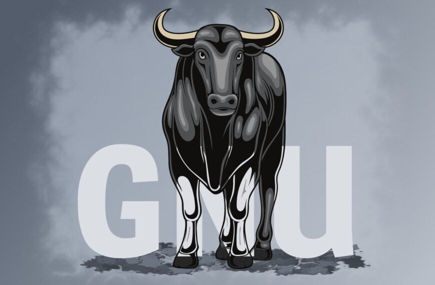 Understanding GNU: The Backbone of Free Software Philosophy