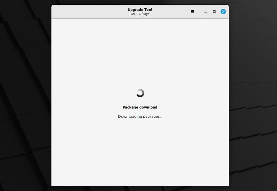 Downloading packages needed for upgrade to LMDE 6 from LMDE 5.
