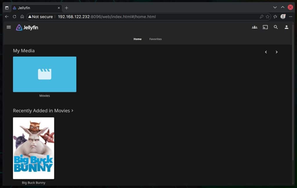 Jellyfin media server successfully installed using Docker Compose.