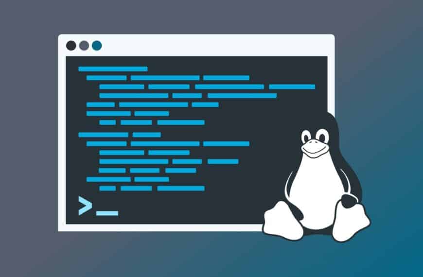 3 Best Linux Terminal Editors Perfect for Beginners