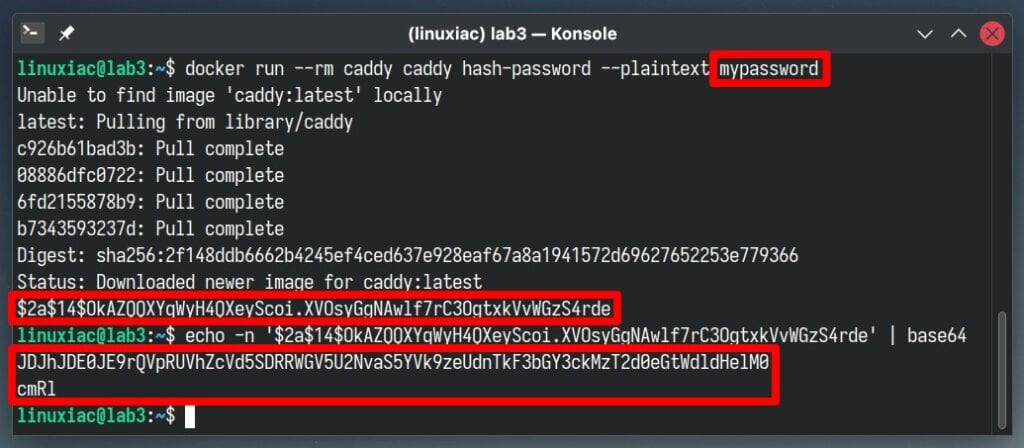 Generate a hashed password for Caddy.