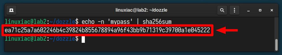 Creating a password for access to Dozzle.