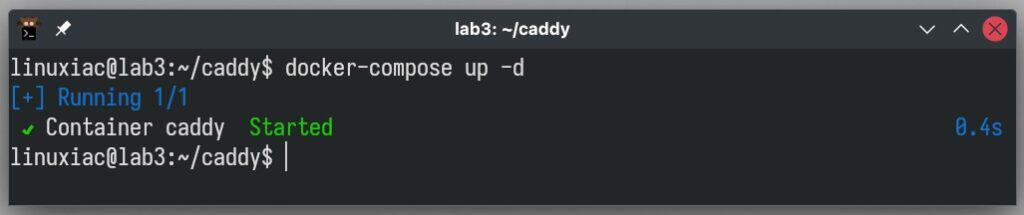 Starting a Caddy reverse proxy container.