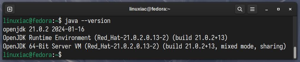 Confirm the default use of OpenJDK 21.