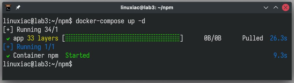 Starting the Nginx Proxy Manager container.