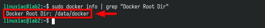 Check Docker's default data storage directory.