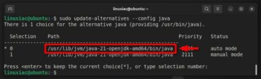 How to Install Java on Ubuntu 24.04 LTS: A Step-by-Step Guide