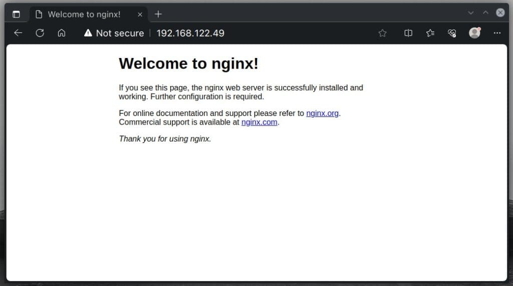 Nginx’s default welcome page.