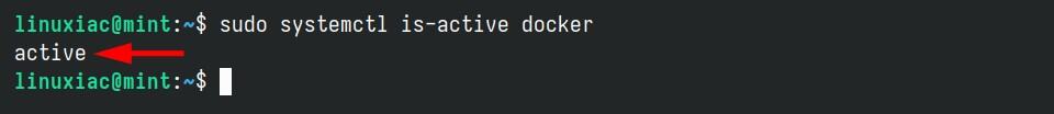 Check the status of the Docker service.