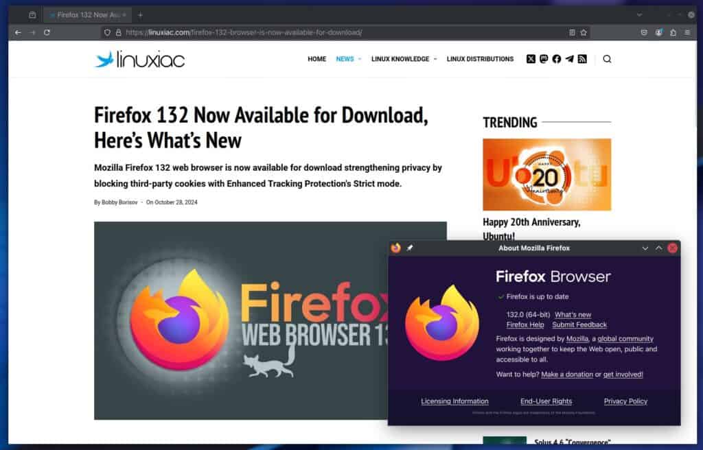 Mozilla Firefox 132 Web Browser