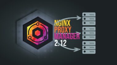 Nginx Proxy Manager 2.12 Overhauls API Schema and Validation