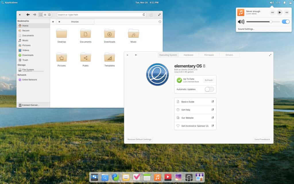 elementary OS 8