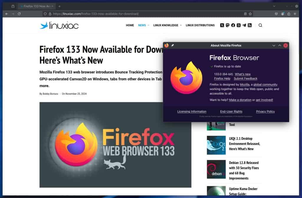 Mozilla Firefox 133 Web Browser