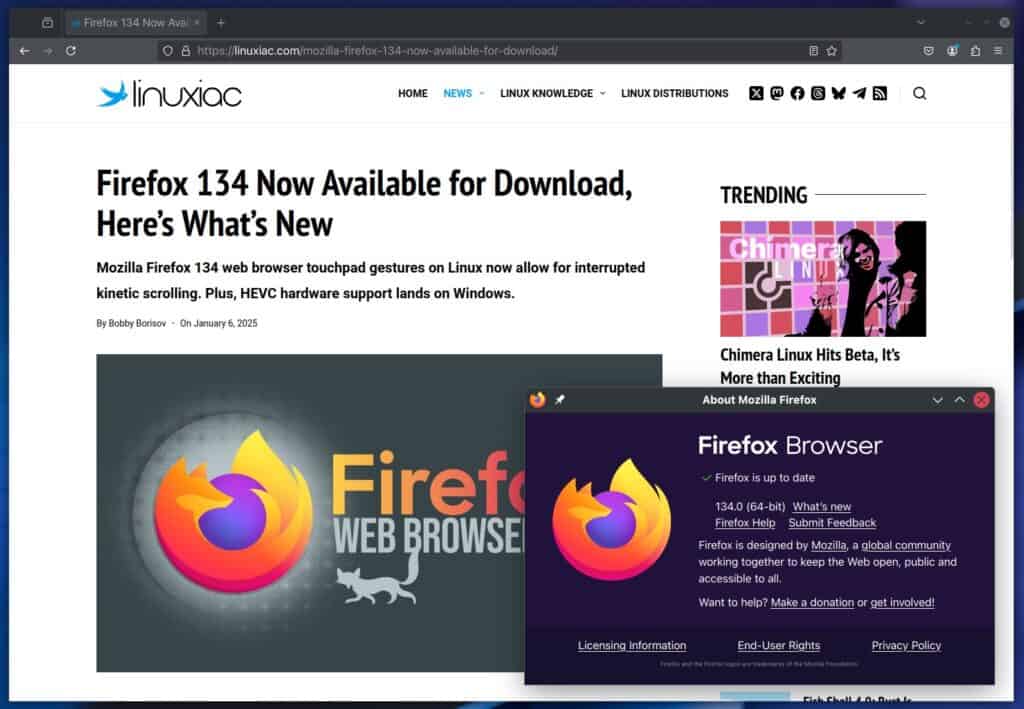 Mozilla Firefox 134