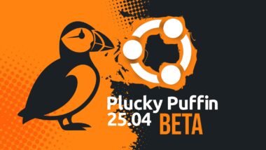 First Look at Ubuntu 25.04 (Plucky Puffin) Beta