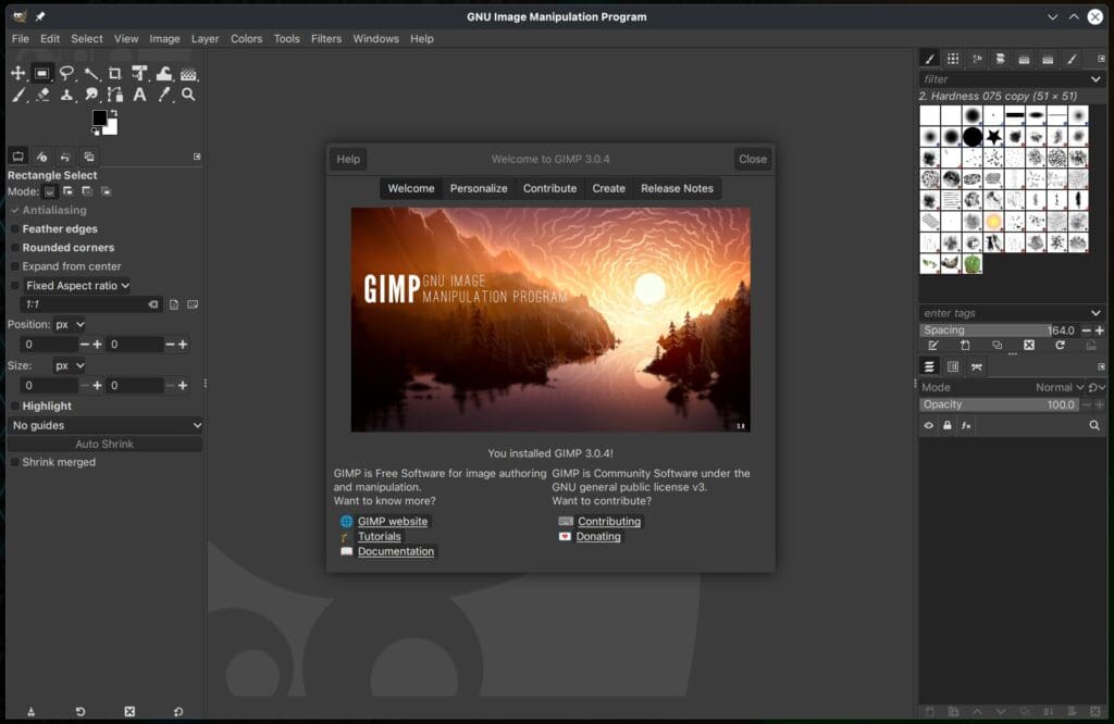 GIMP 3.0.4 Image Editor